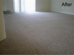 Carpet Cleaning Tampa